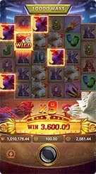 koko5000 · Rooster Rbl
